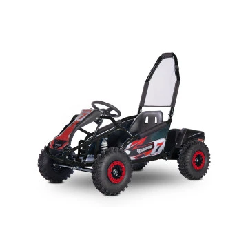 Buggy Leramotors Razor  1000W Černá