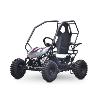 Buggy Leramotors Razor II Deluxe 1000W Černá