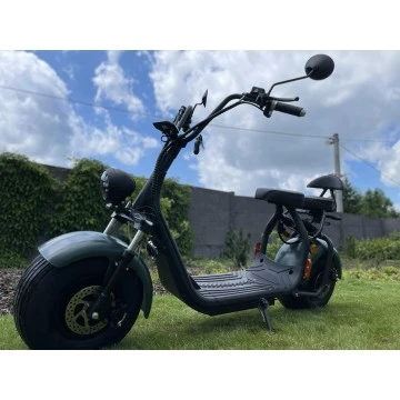 Elektrokoloběžka Lera Scooters C1+ 1500W Zelená