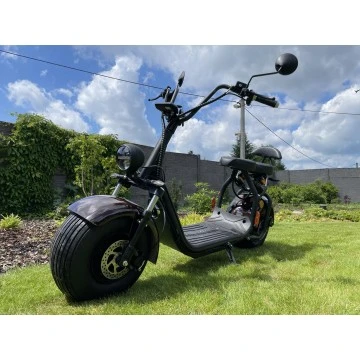 Elektrokoloběžka Lera Scooters C1+ 1500W Hnědá