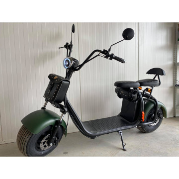 Lera Scooters C1 1000W zelená