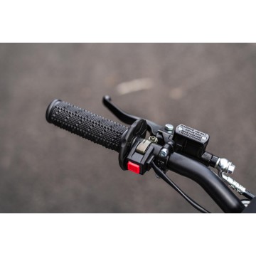 Pitbike Leramotors Spirit 90 12/10 Automat červená