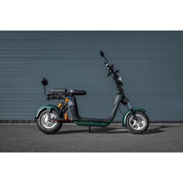 Elektrokoloběžka Leramotors Scooters C2 2000W Zelená