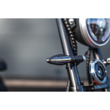 Elektrokoloběžka Leramotors Scooters C2 2000W Modrá