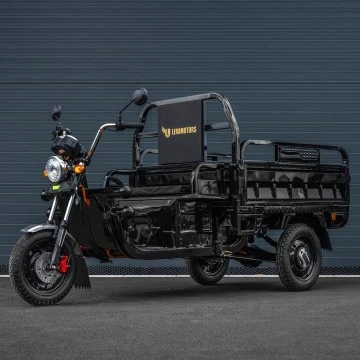 Elektrická nákladní tříkolka Leramotors Cargo G1 1000W - Tuk Tuk Černá