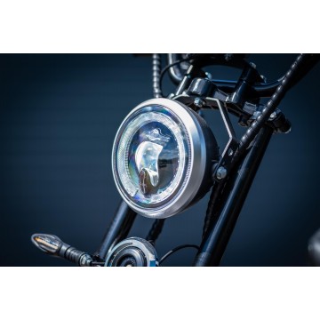 Elektrokoloběžka Leramotors Scooters C2 2000W Hnědá
