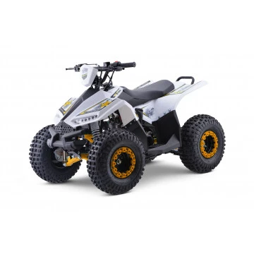 Leramotors Monkey 125 ccm Automat žlutá